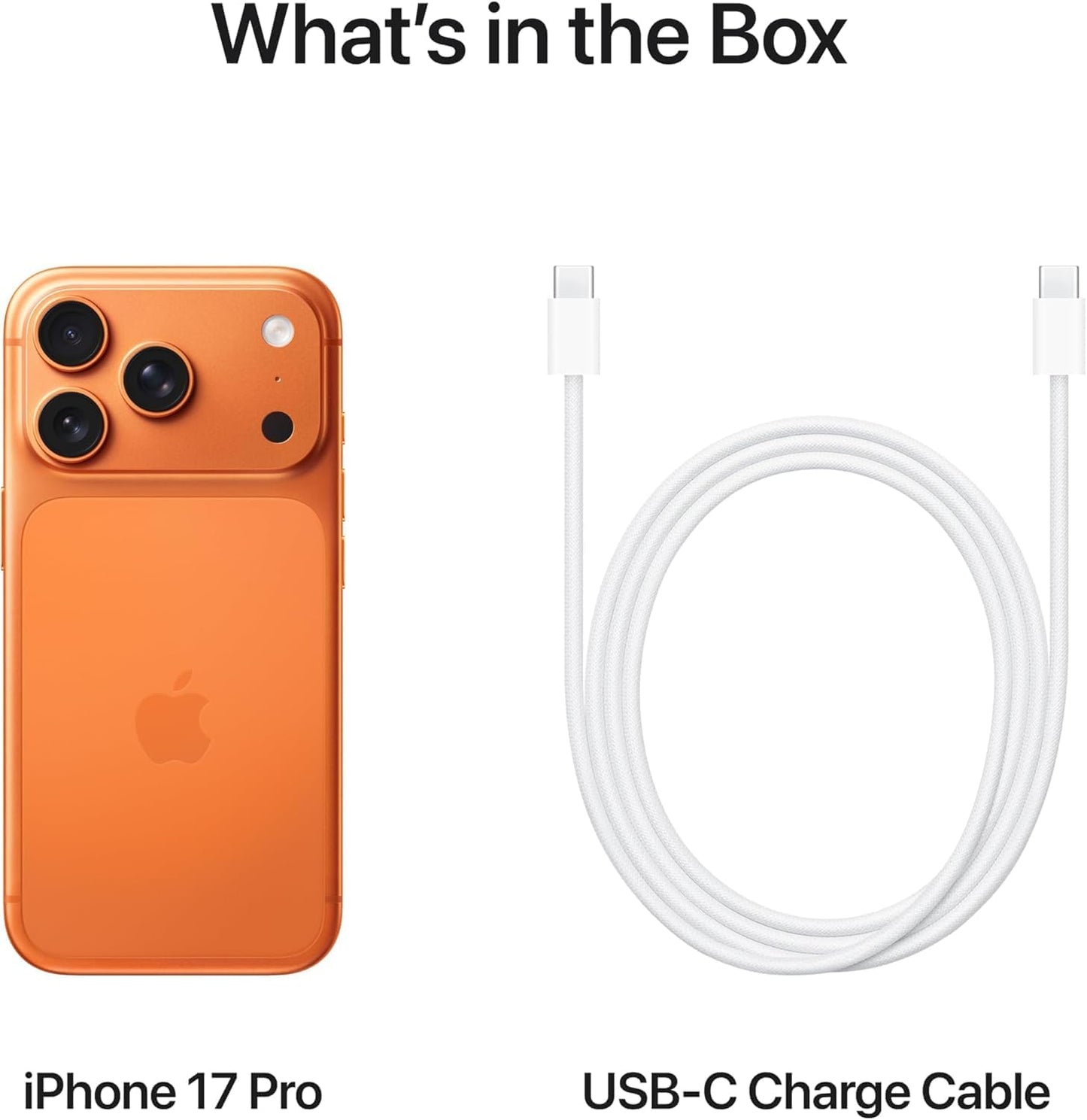 Apple iPhone 17 Pro Max (256 GB) - with Face ID | Tax Paid | 2 Years Official Warranty