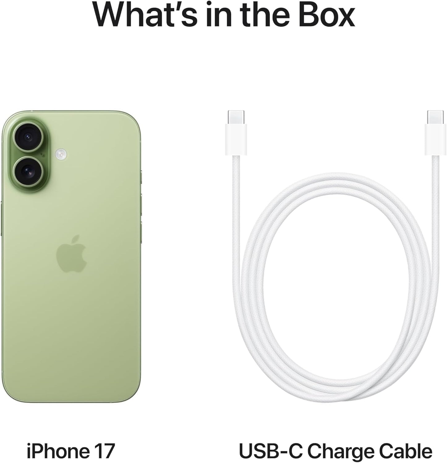 Apple iPhone 17 (256 GB) - with Face ID | Tax Paid | 2 Years Official Warranty