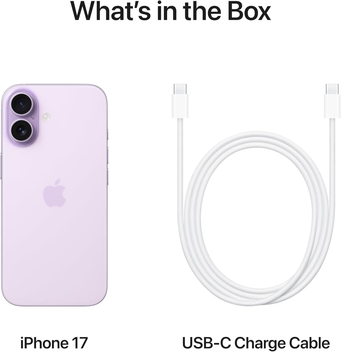 Apple iPhone 17 (256 GB) - with Face ID | Tax Paid | 2 Years Official Warranty