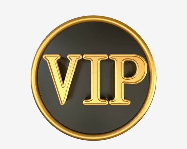 VIP PREMIUM ACCESSORIES